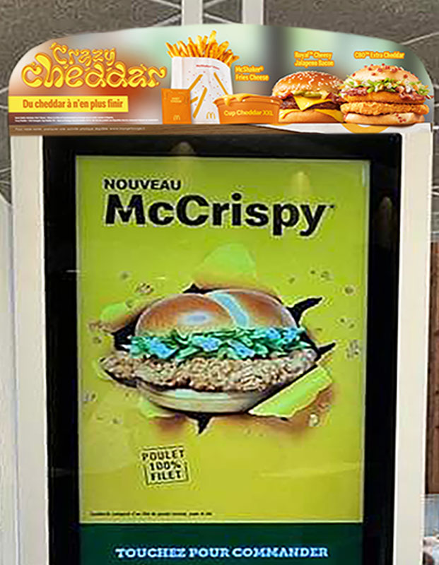 NGKHAUT-CRAZY-CHEDDAR